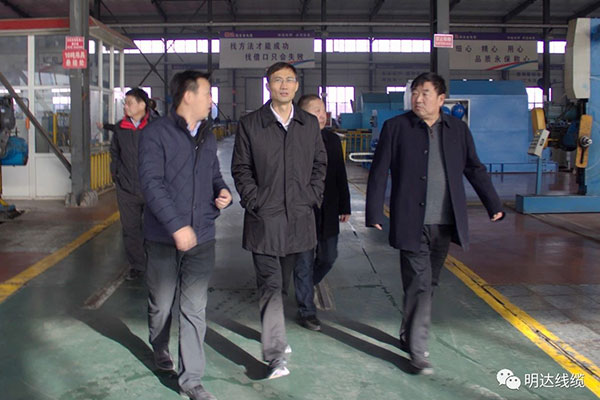 省市场监管局局长金洪钧调研S36沙龙国际