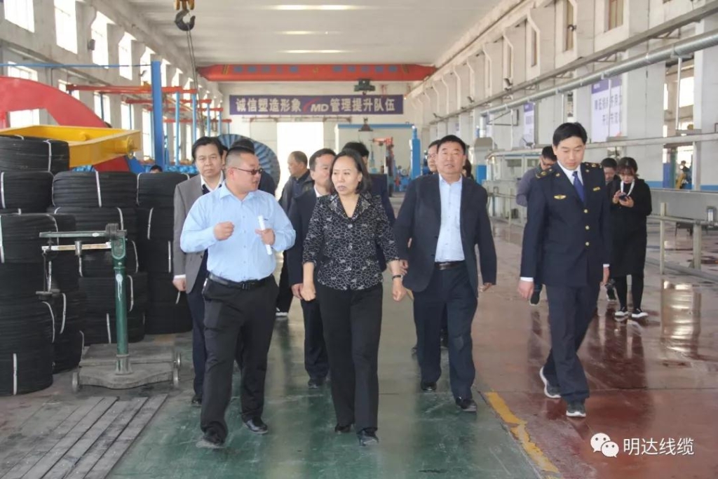 河北省市场监管局党组书记丁锦霞莅临S36沙龙国际考察调研