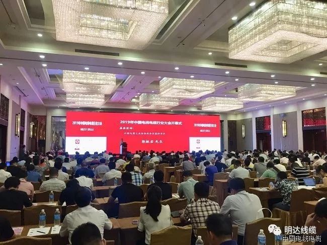 S36沙龙国际线缆上榜2019中国电线电缆行业百强
