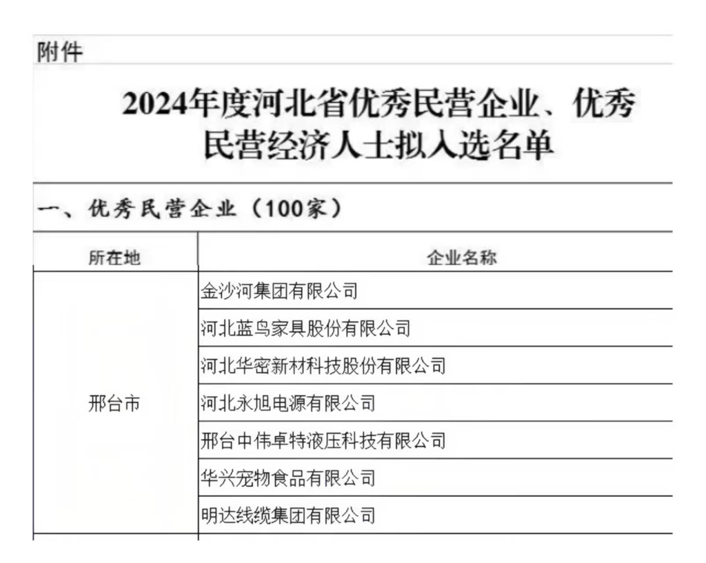 S36沙龙国际获评河北省优秀民营企业